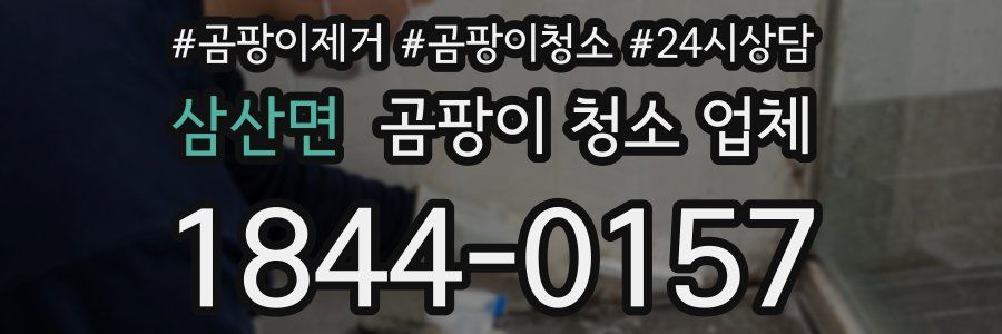 삼산면 곰팡이 청소 업체
