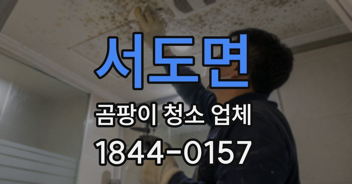 서도면 곰팡이 청소 업체