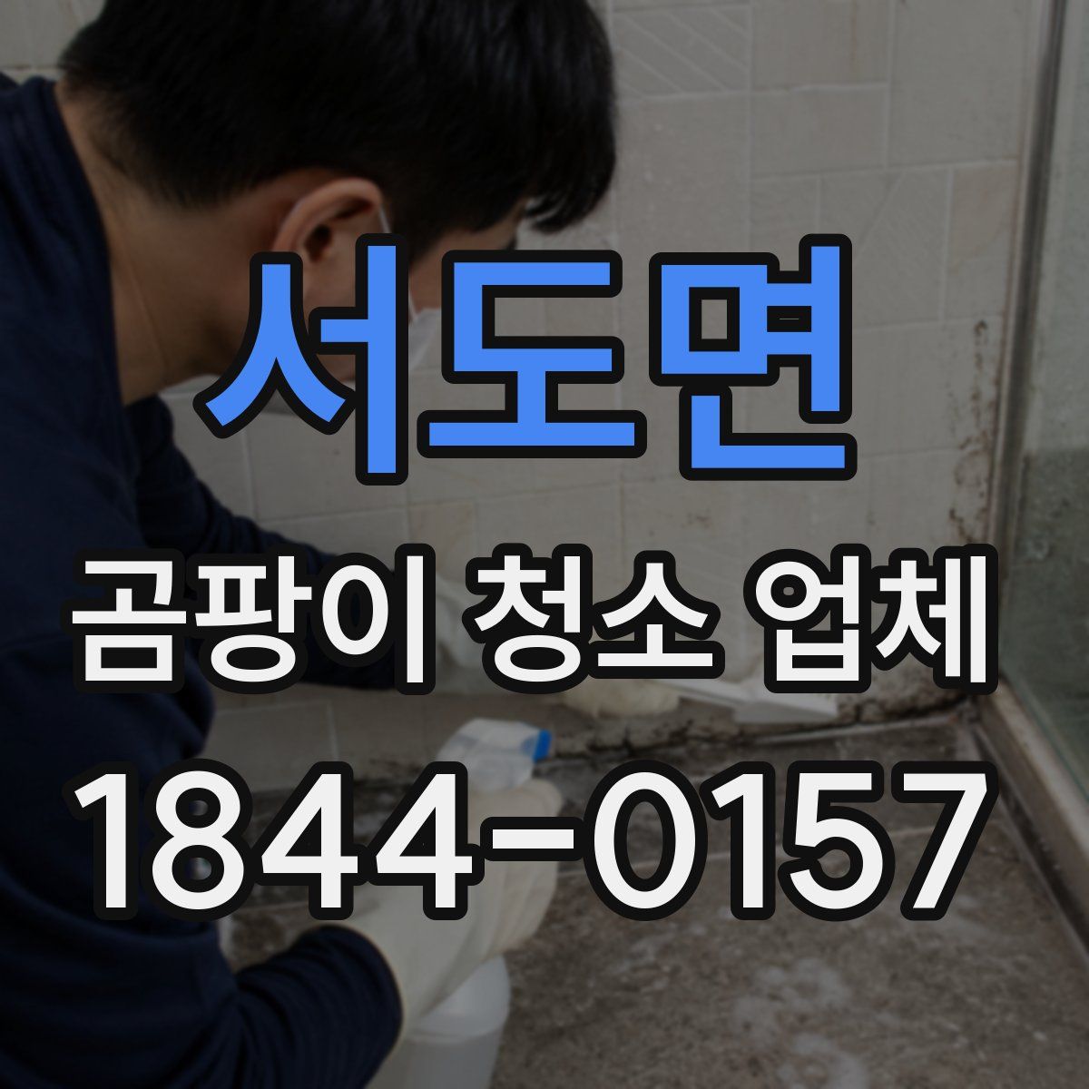 서도면 곰팡이 청소 업체