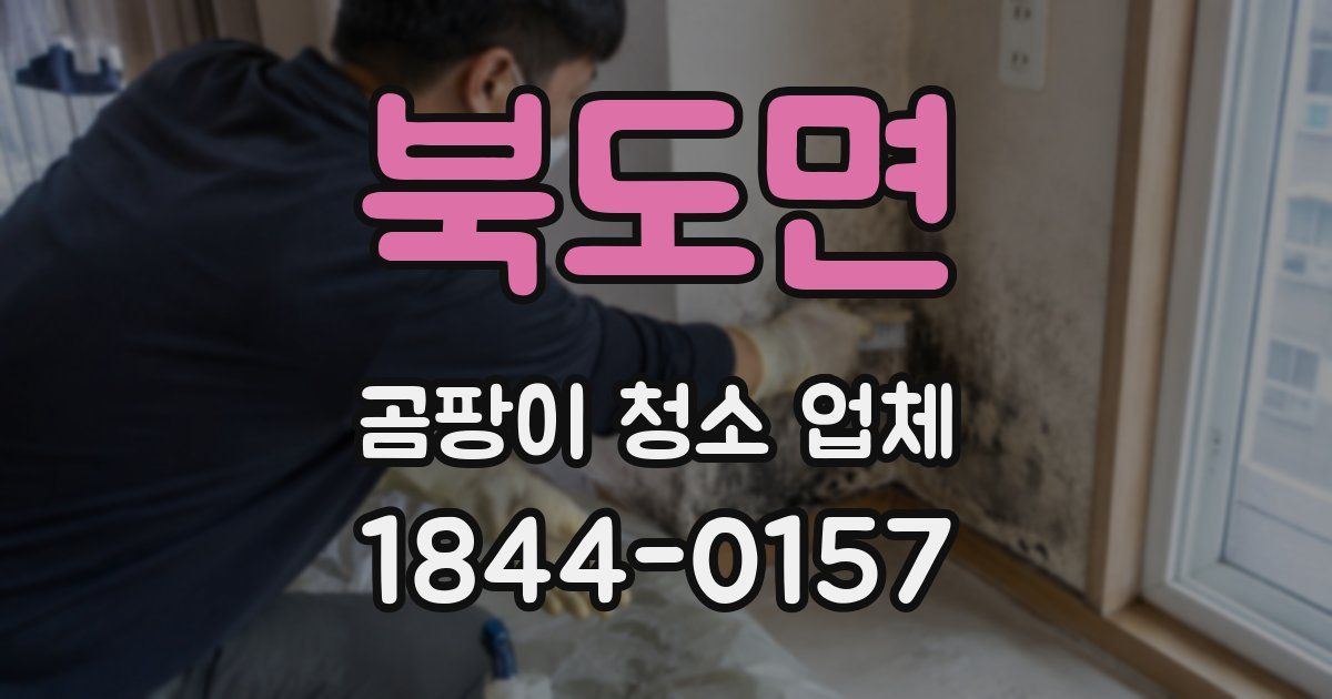 북도면 곰팡이 청소 업체