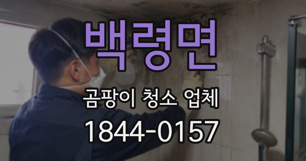 백령면 곰팡이 청소 업체