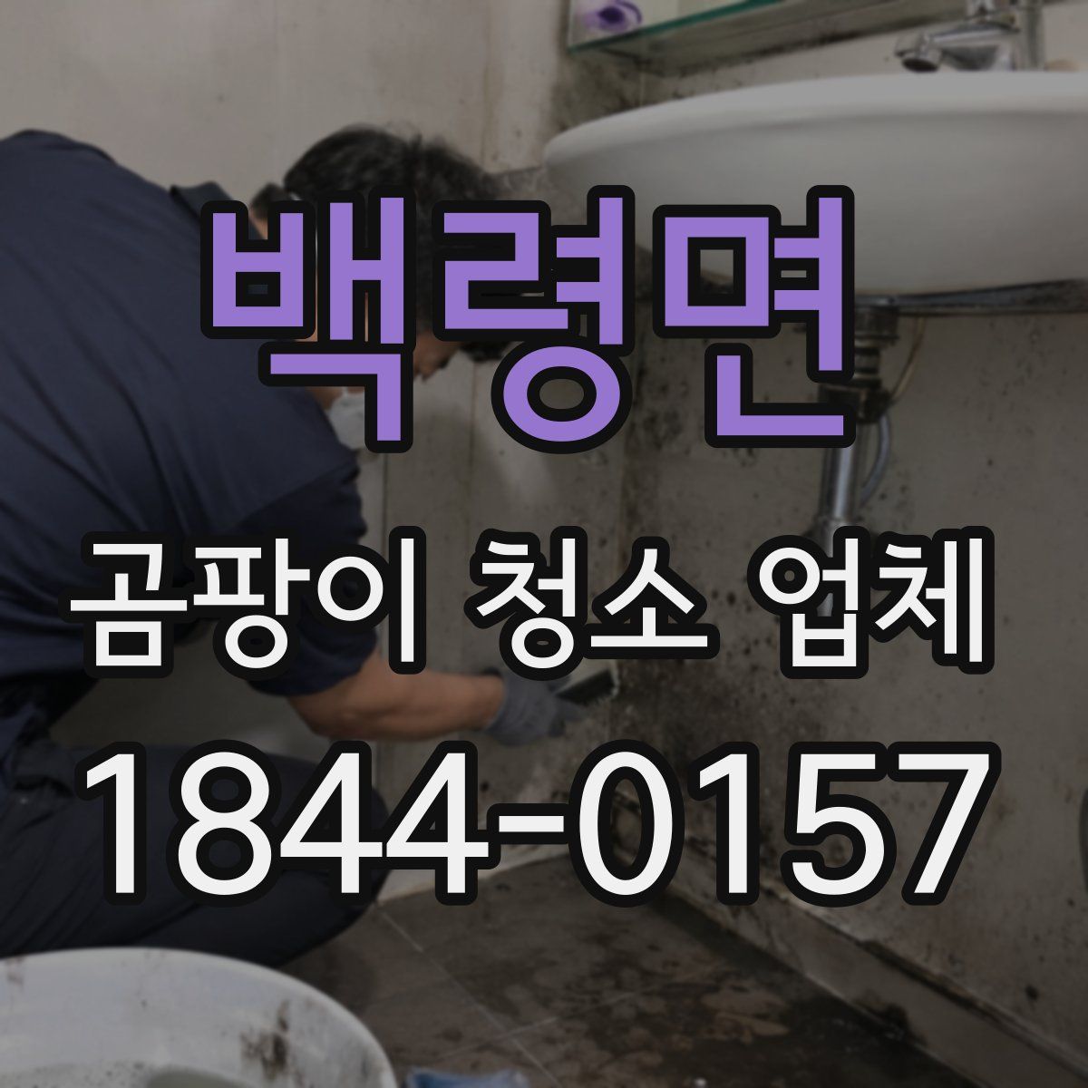 백령면 곰팡이 청소 업체