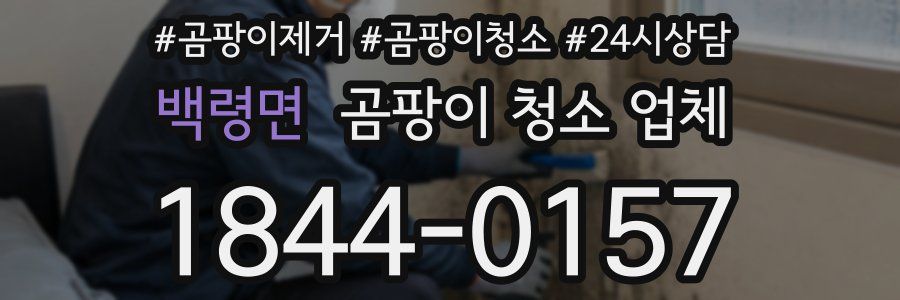 백령면 곰팡이 청소 업체