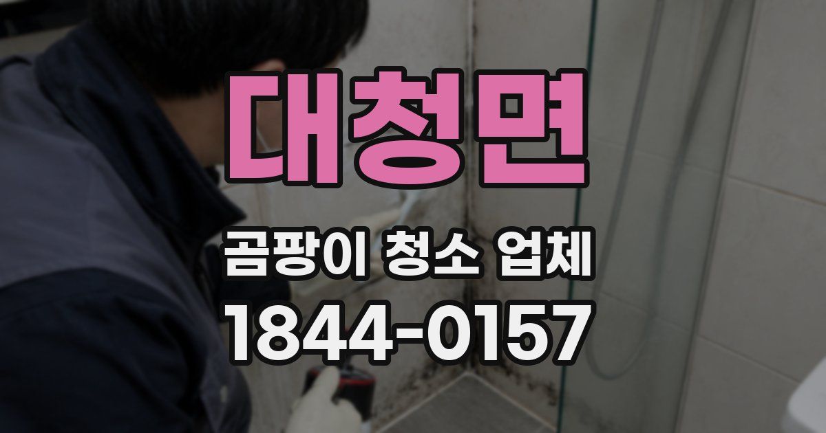 대청면 곰팡이 청소 업체