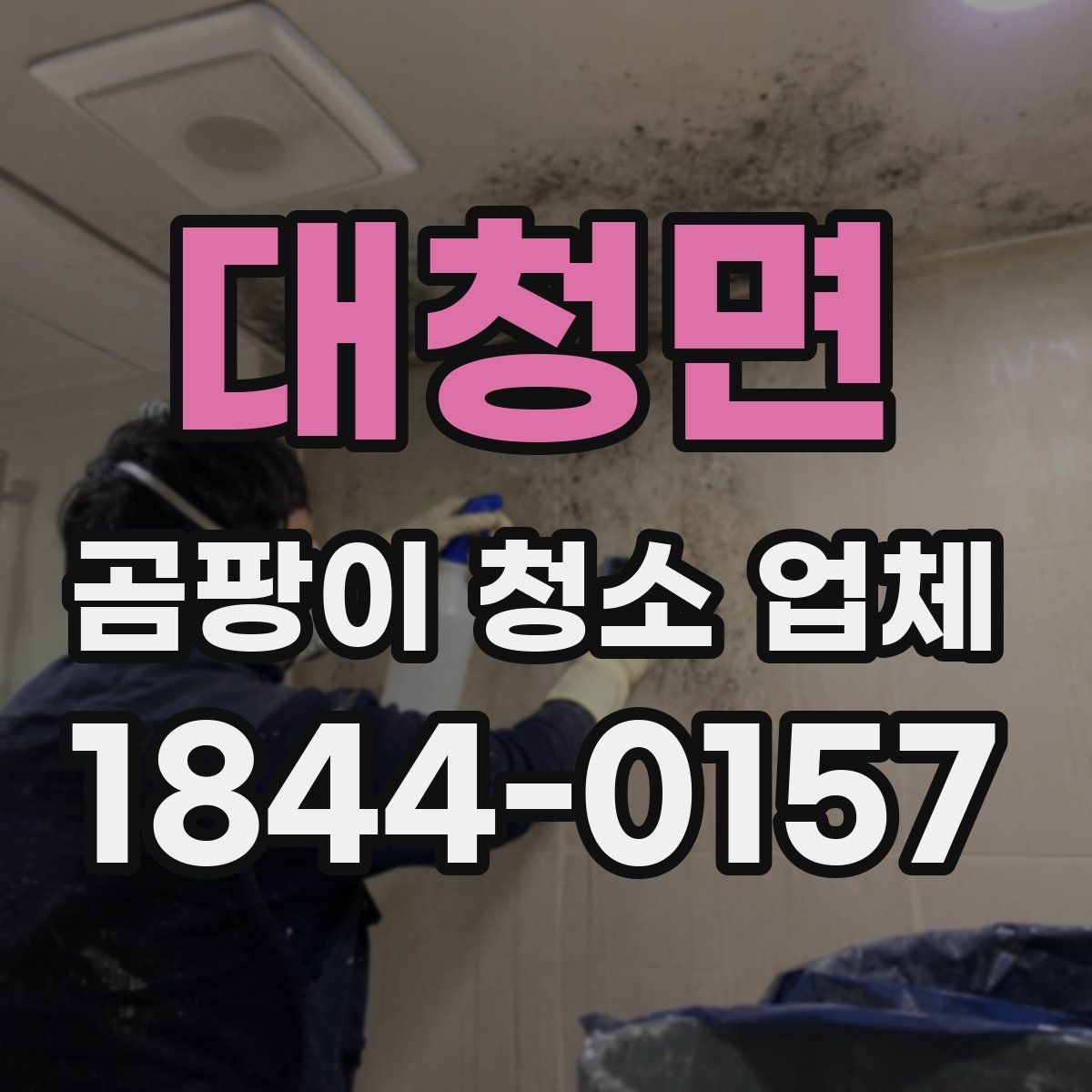 대청면 곰팡이 청소 업체