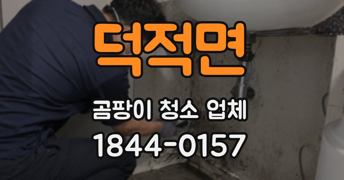 덕적면 곰팡이 청소 업체