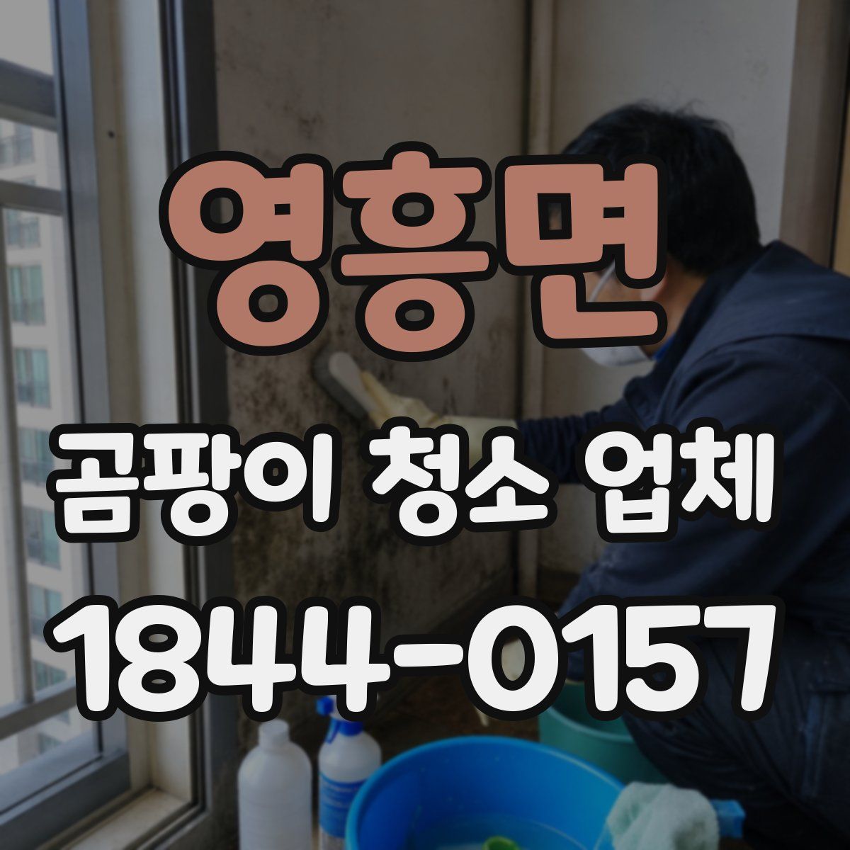 영흥면 곰팡이 청소 업체
