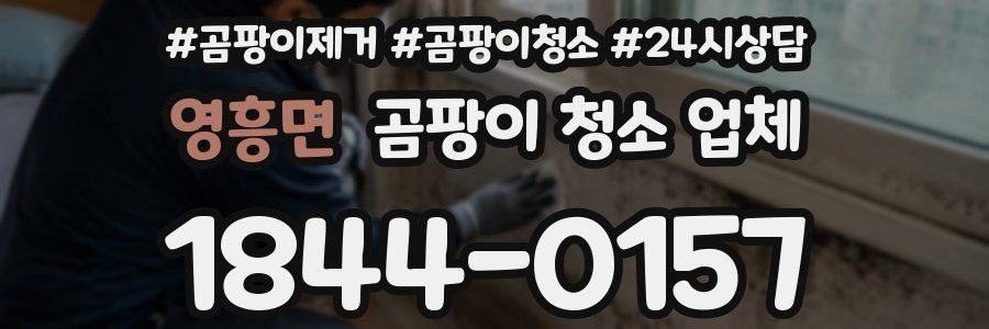 영흥면 곰팡이 청소 업체