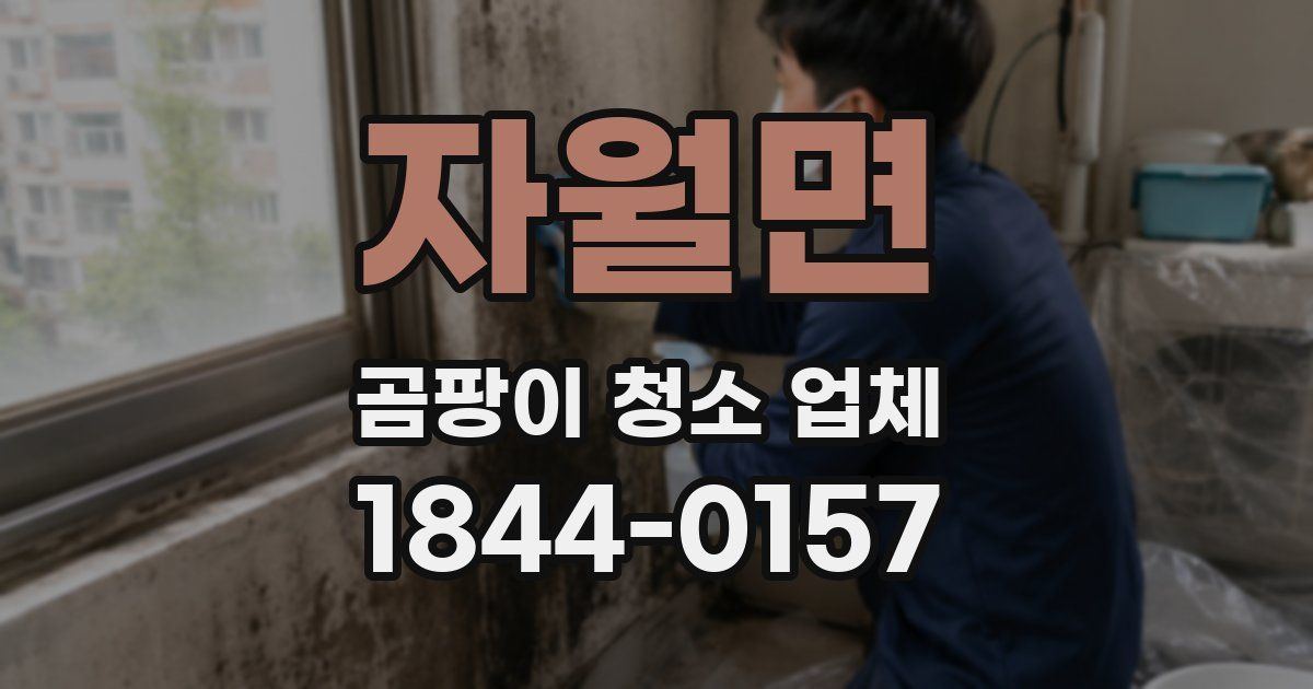 자월면 곰팡이 청소 업체