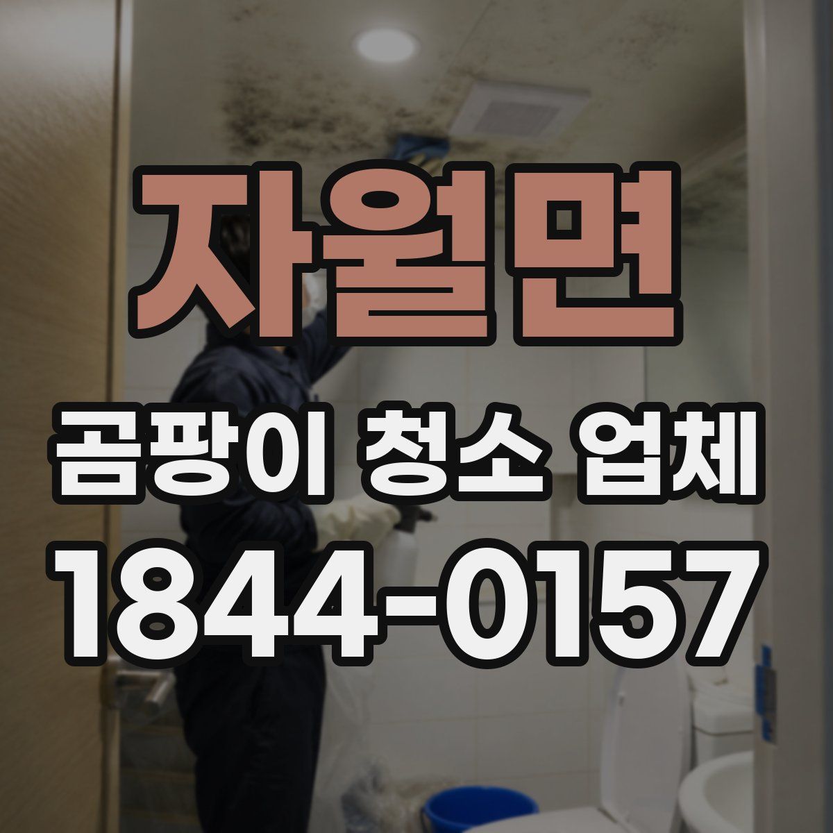 자월면 곰팡이 청소 업체