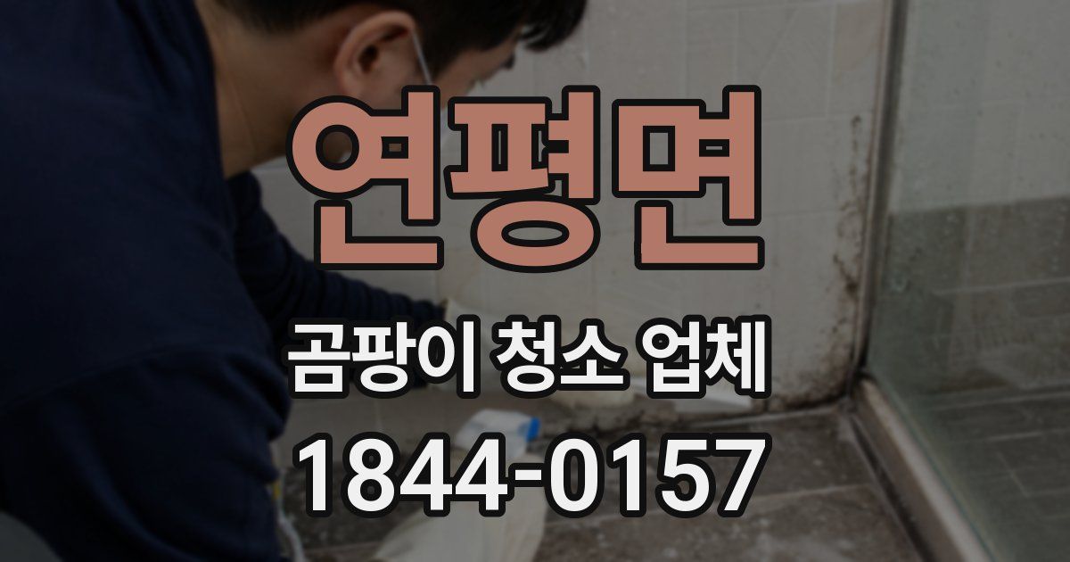 연평면 곰팡이 청소 업체