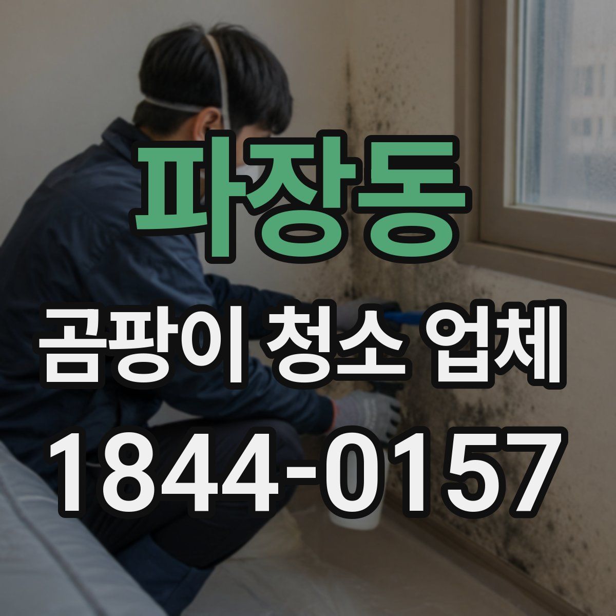 파장동 곰팡이 청소 업체