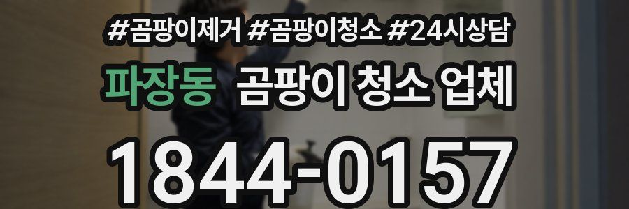 파장동 곰팡이 청소 업체