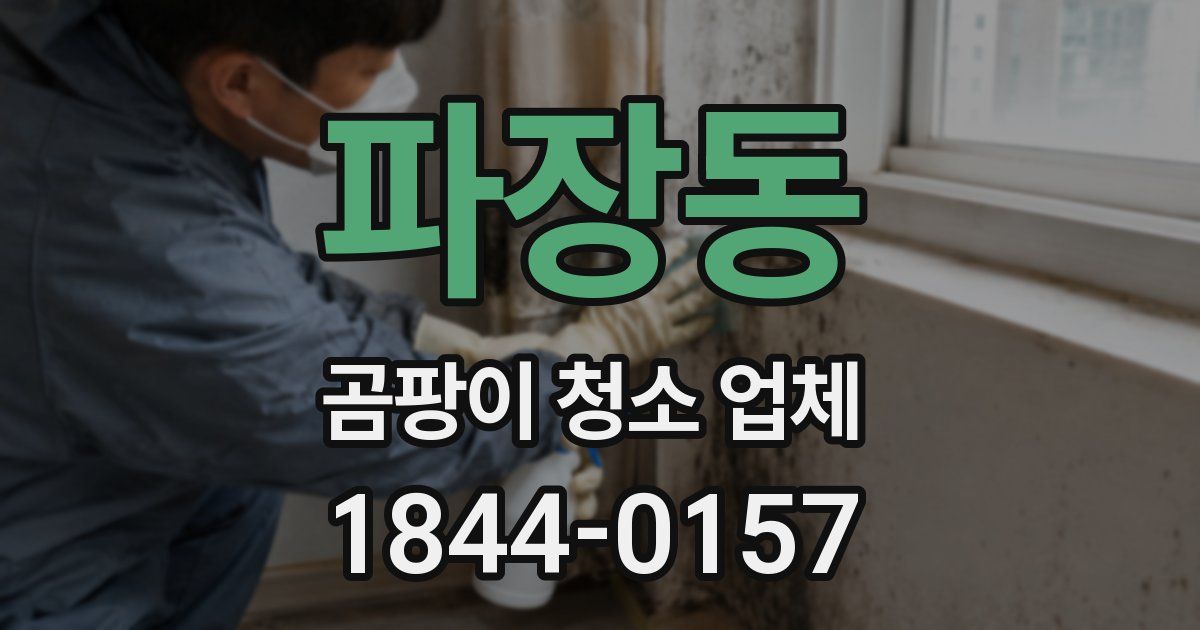 파장동 곰팡이 청소 업체
