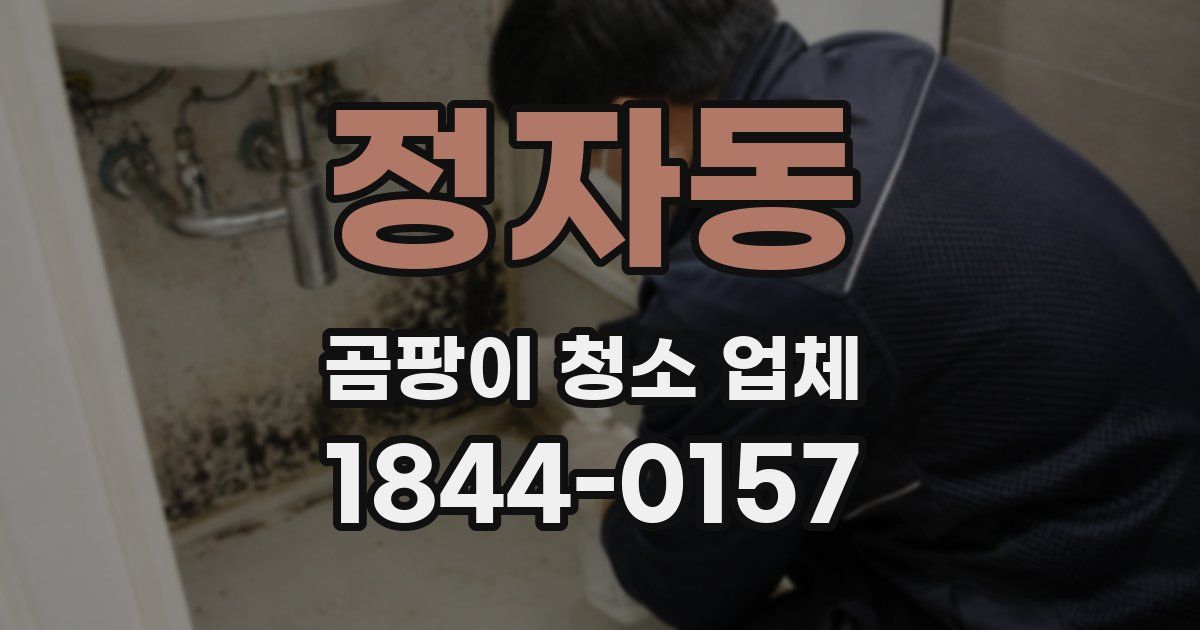 정자동 곰팡이 청소 업체