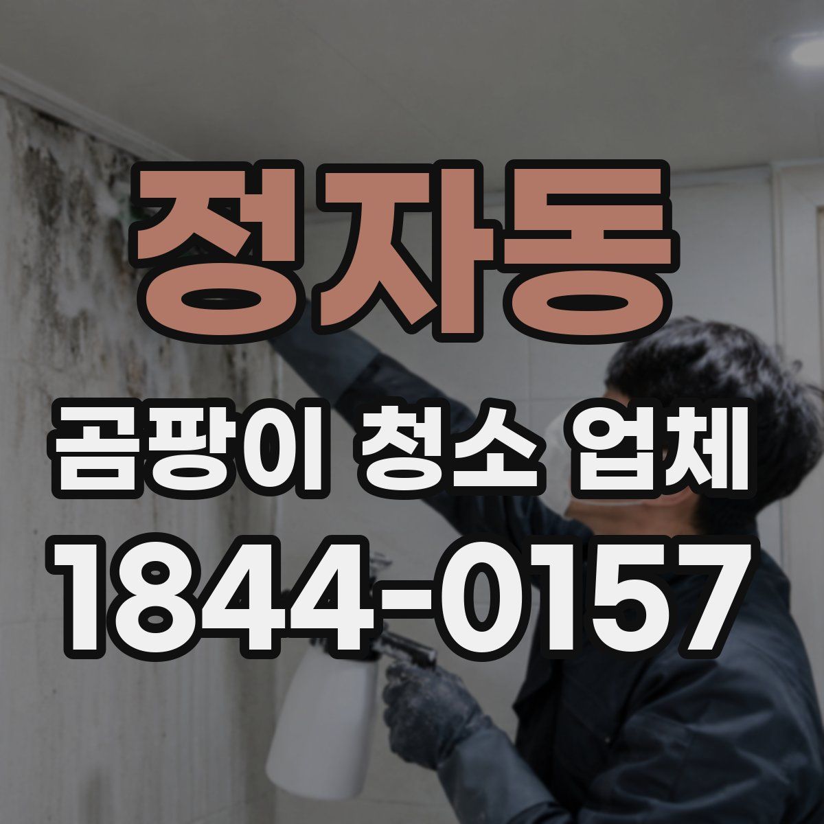 정자동 곰팡이 청소 업체