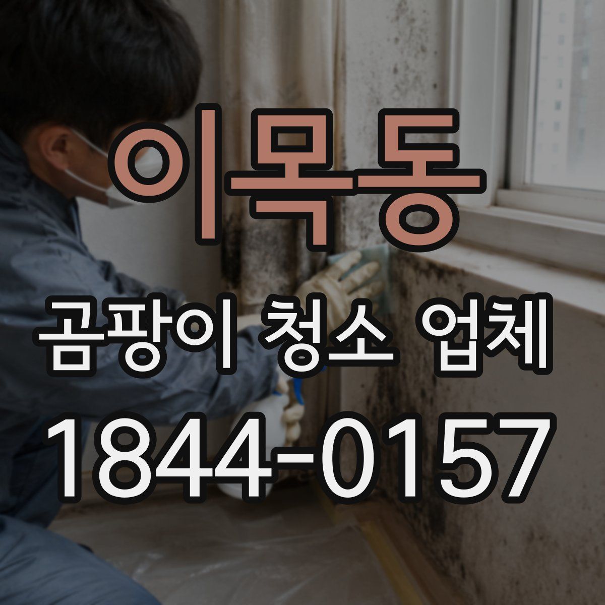 이목동 곰팡이 청소 업체