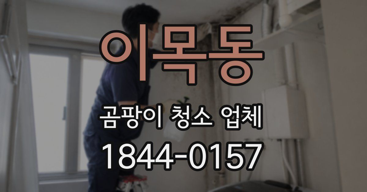 이목동 곰팡이 청소 업체