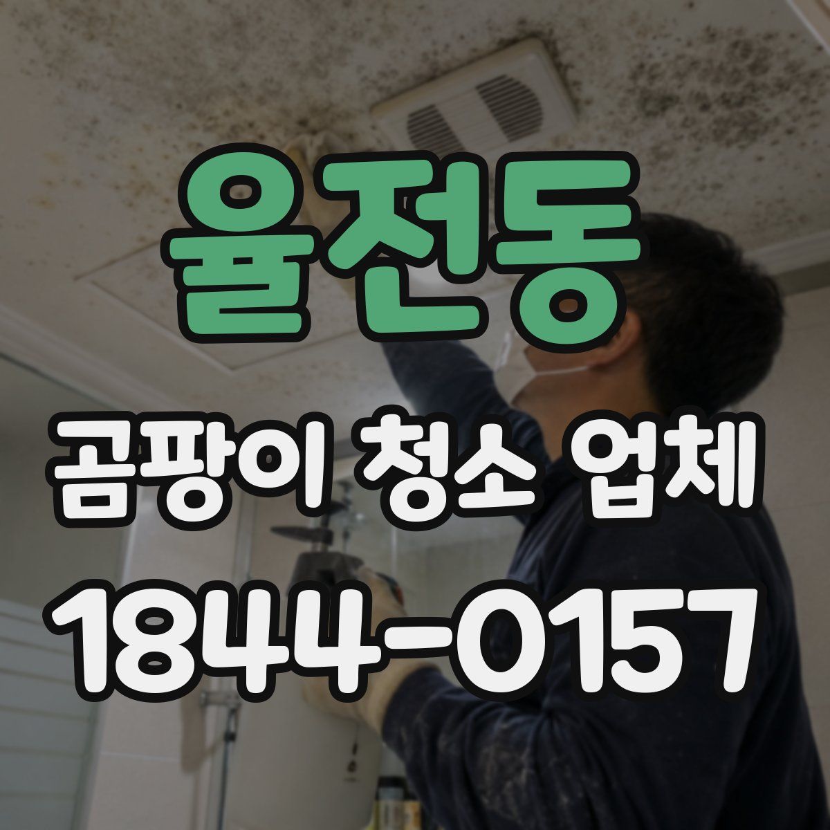 율전동 곰팡이 청소 업체