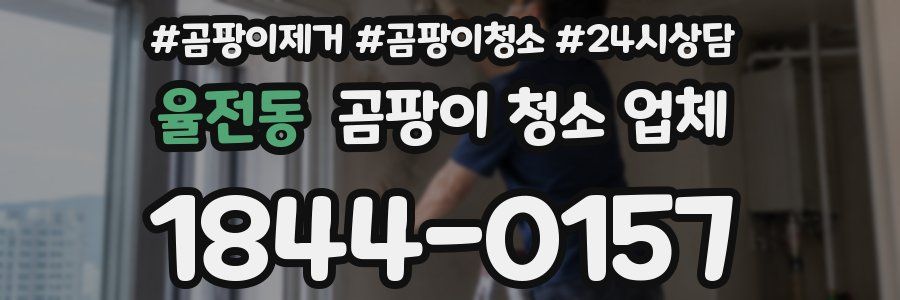 율전동 곰팡이 청소 업체