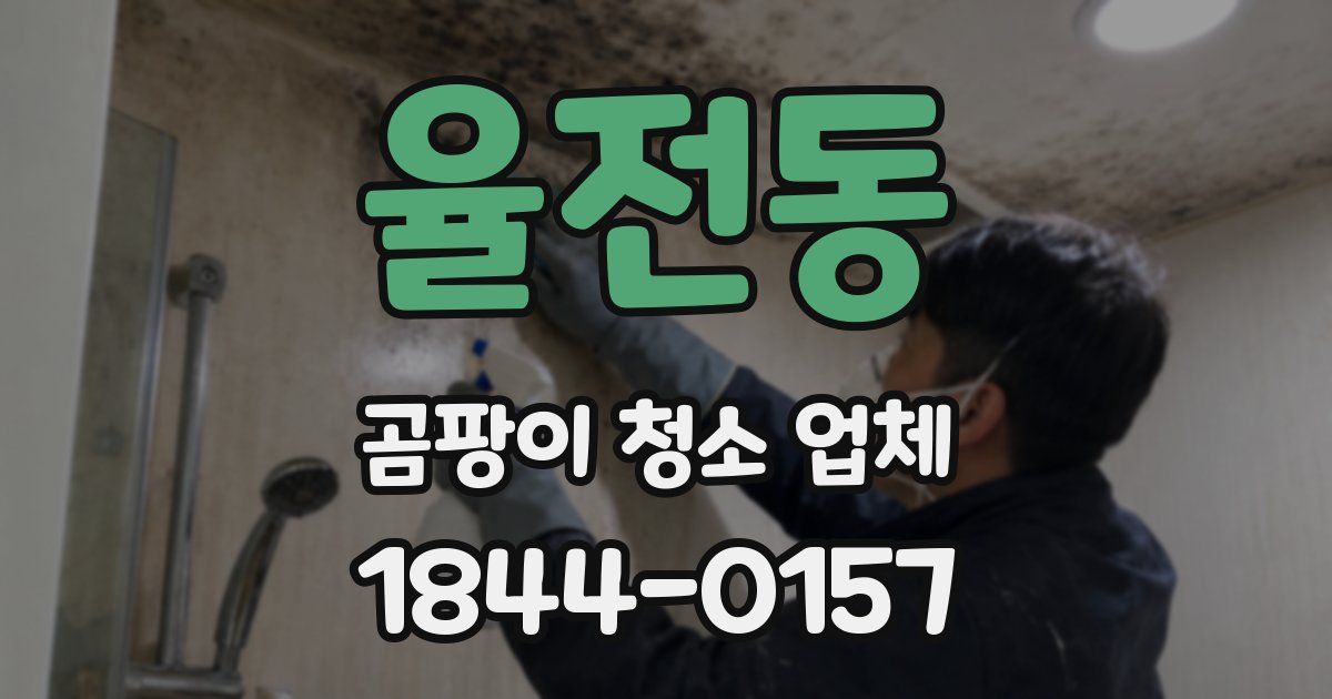 율전동 곰팡이 청소 업체