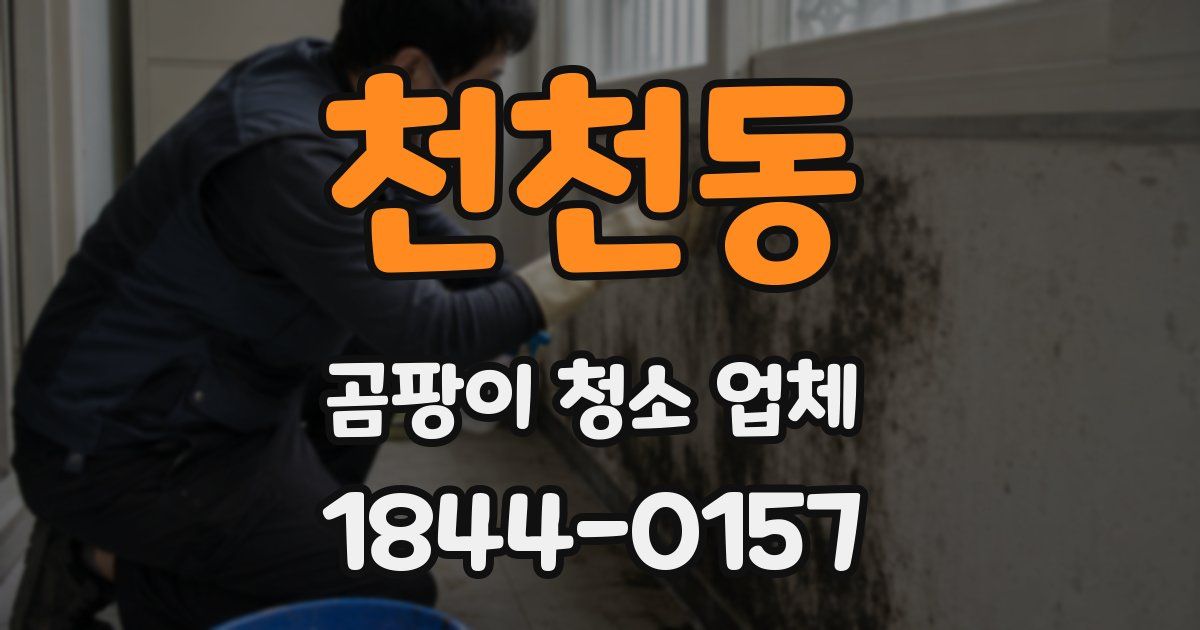 천천동 곰팡이 청소 업체