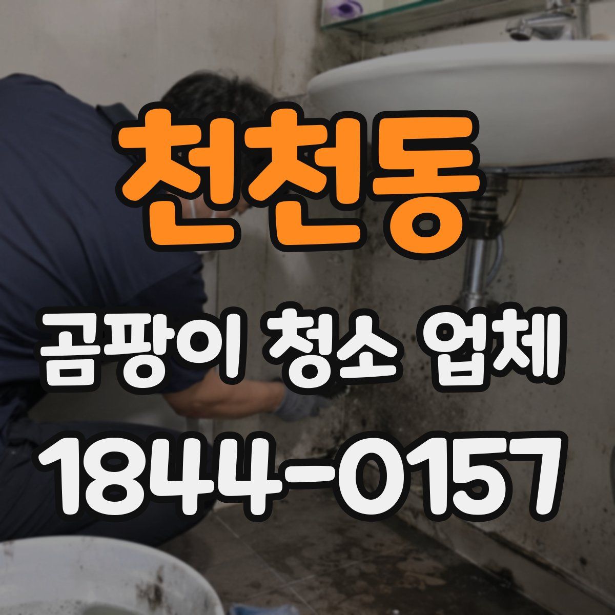 천천동 곰팡이 청소 업체