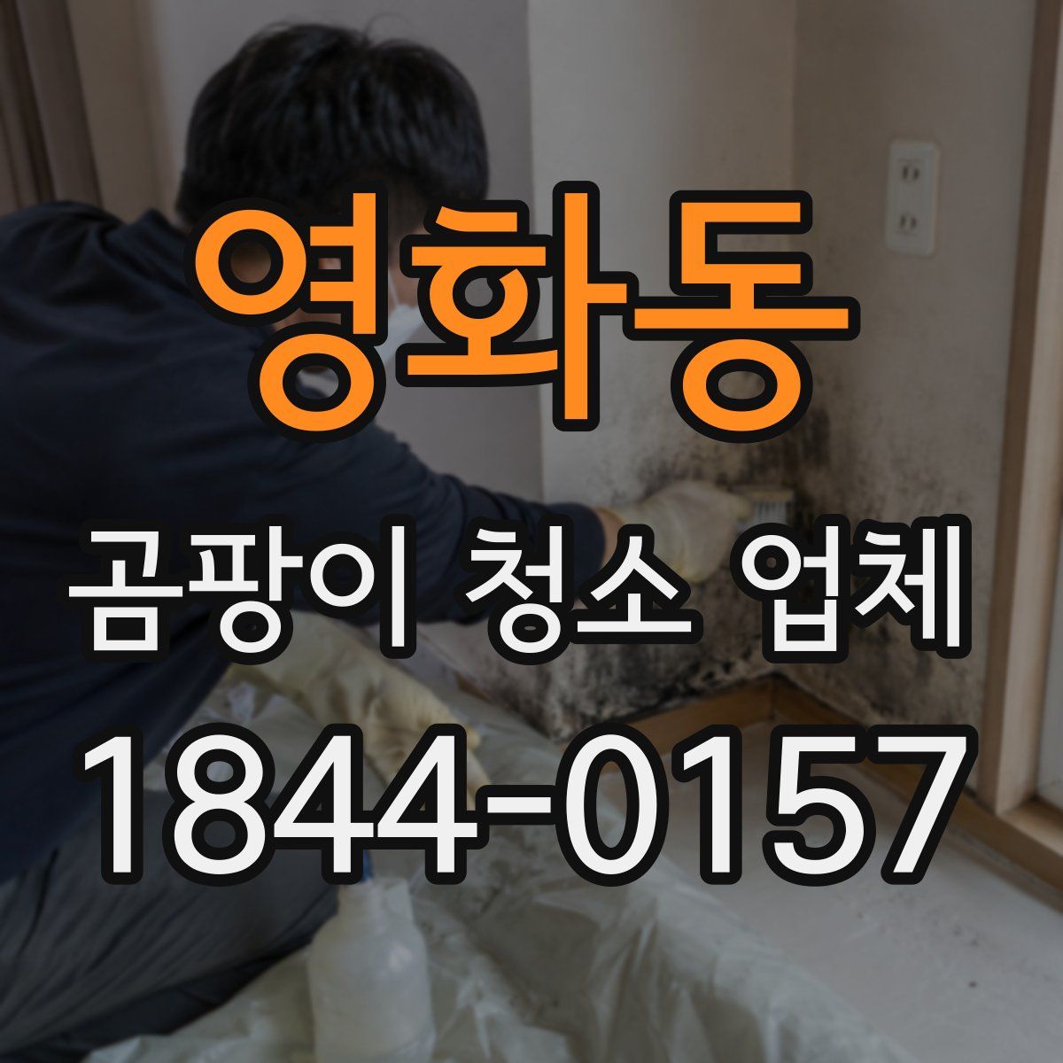 영화동 곰팡이 청소 업체