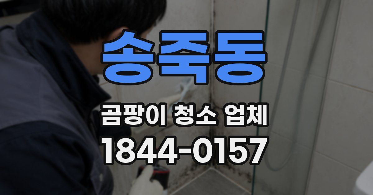 송죽동 곰팡이 청소 업체