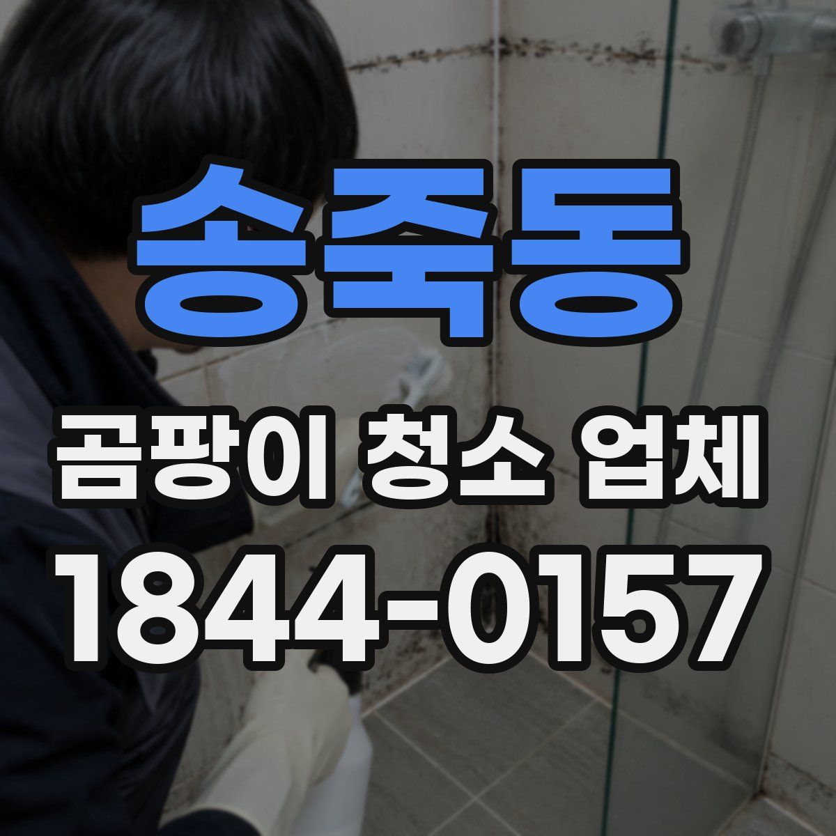 송죽동 곰팡이 청소 업체