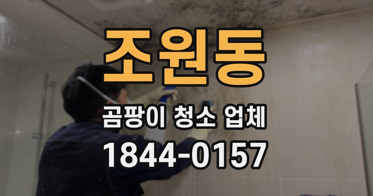 조원동 곰팡이 청소 업체