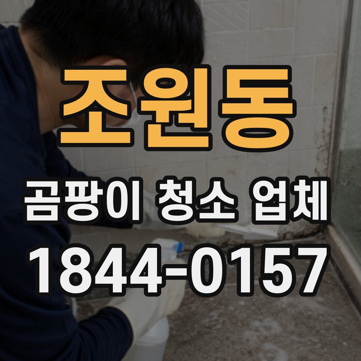 조원동 곰팡이 청소 업체