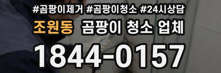 조원동 곰팡이 청소 업체