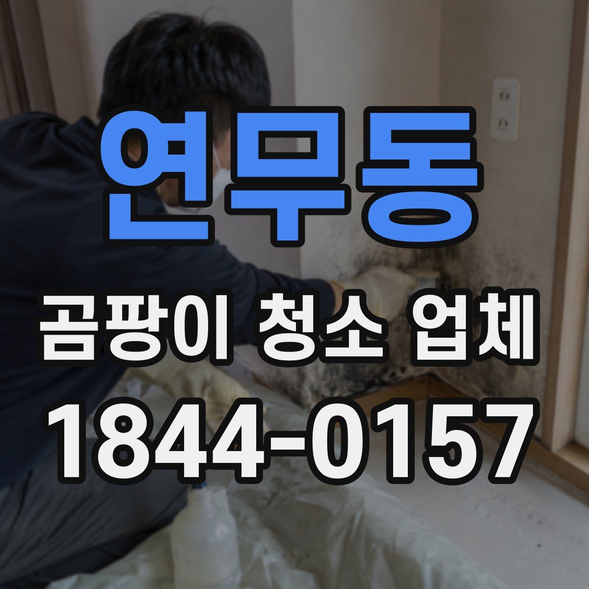 연무동 곰팡이 청소 업체