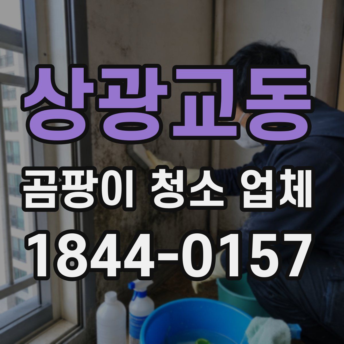 상광교동 곰팡이 청소 업체