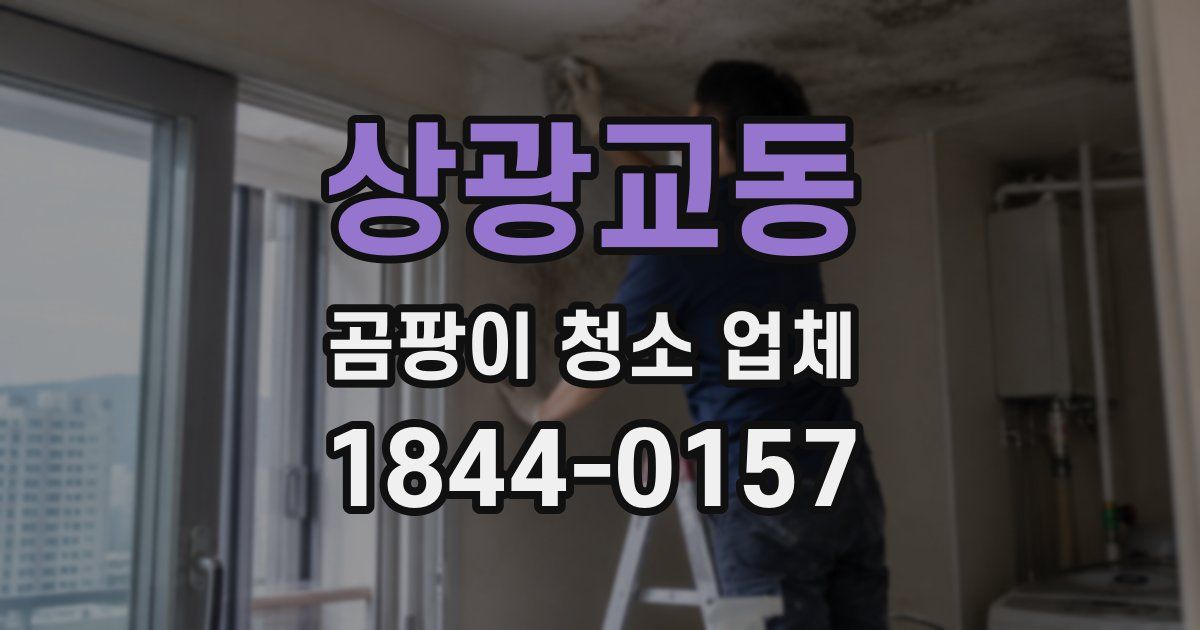 상광교동 곰팡이 청소 업체