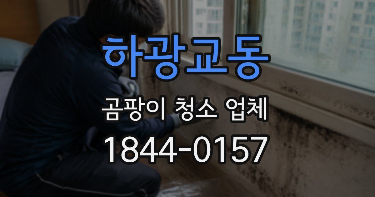 하광교동 곰팡이 청소 업체