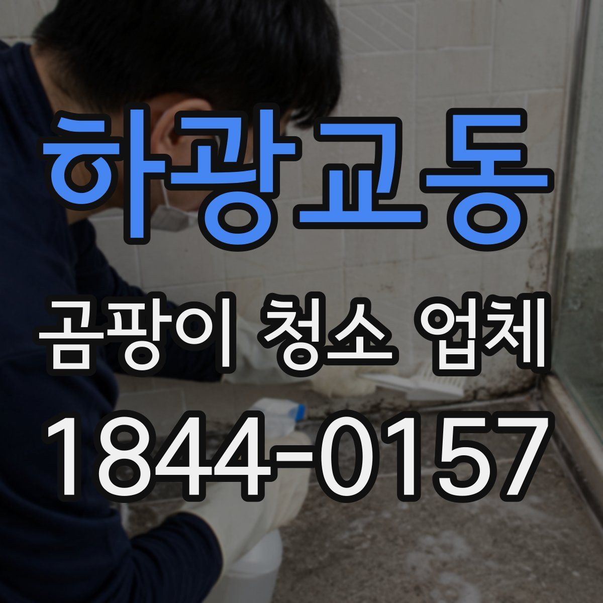 하광교동 곰팡이 청소 업체