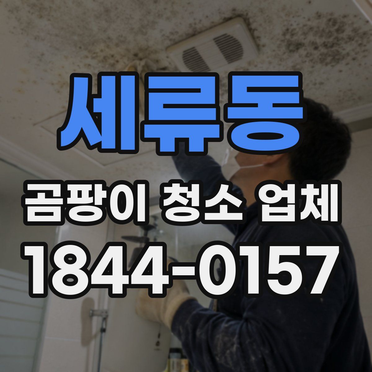 세류동 곰팡이 청소 업체