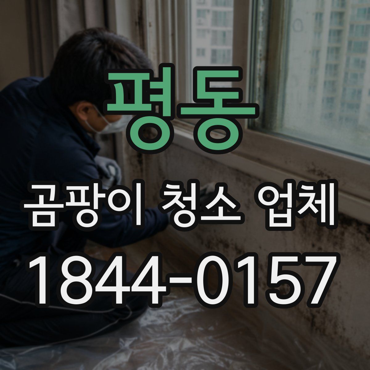 평동 곰팡이 청소 업체