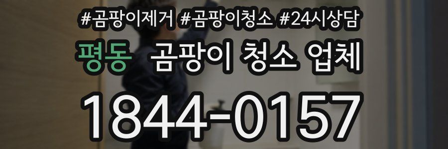 평동 곰팡이 청소 업체