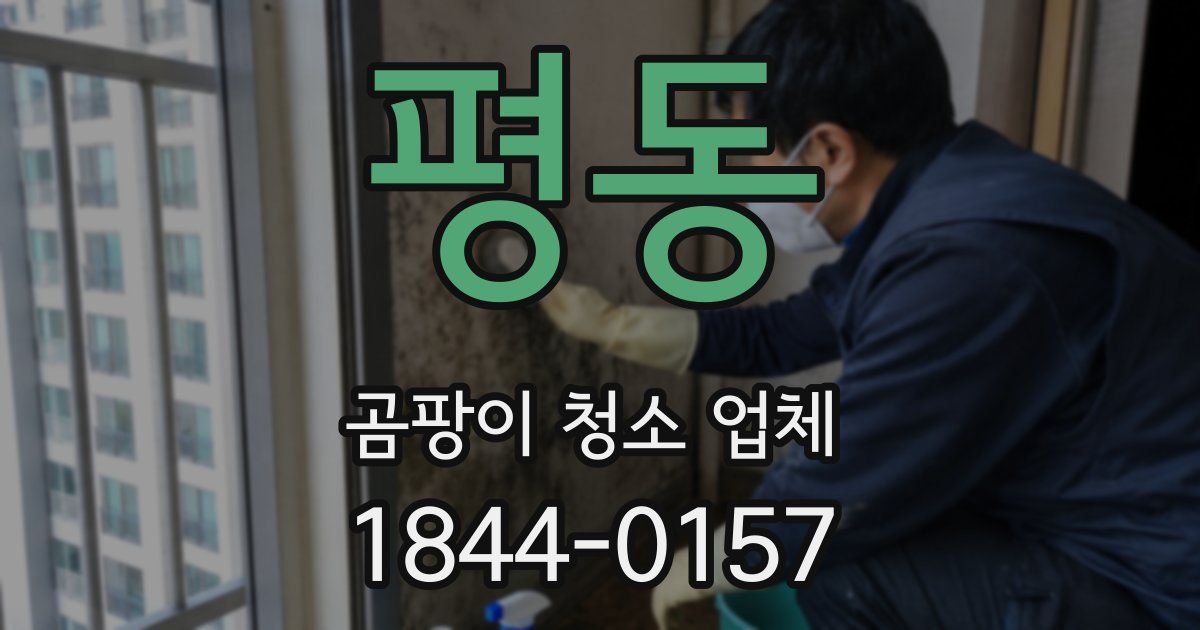 평동 곰팡이 청소 업체