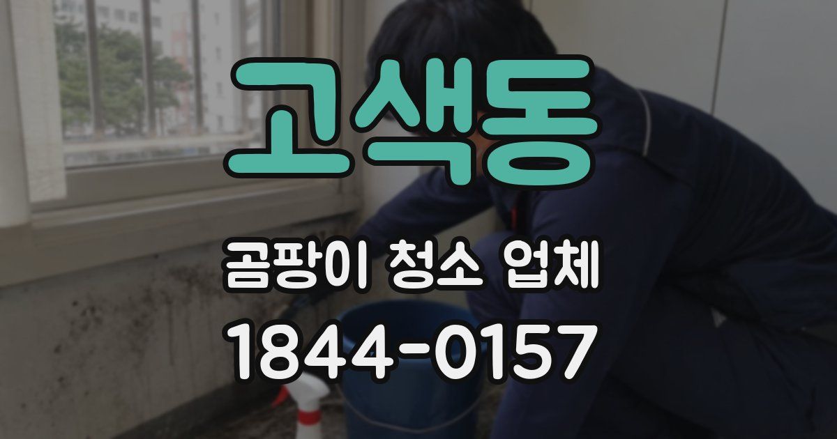 고색동 곰팡이 청소 업체