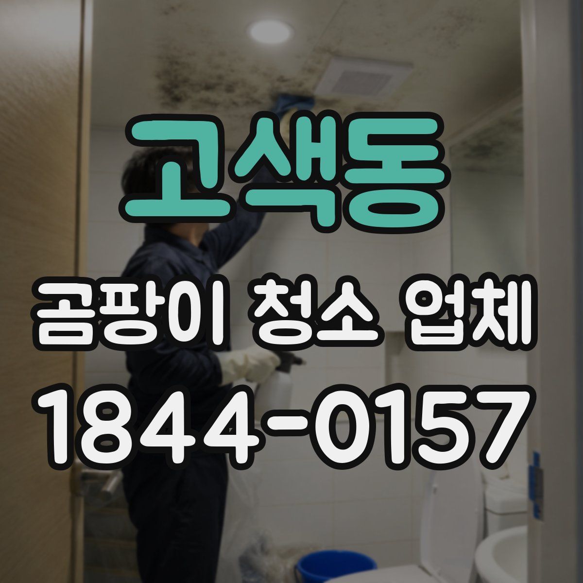 고색동 곰팡이 청소 업체