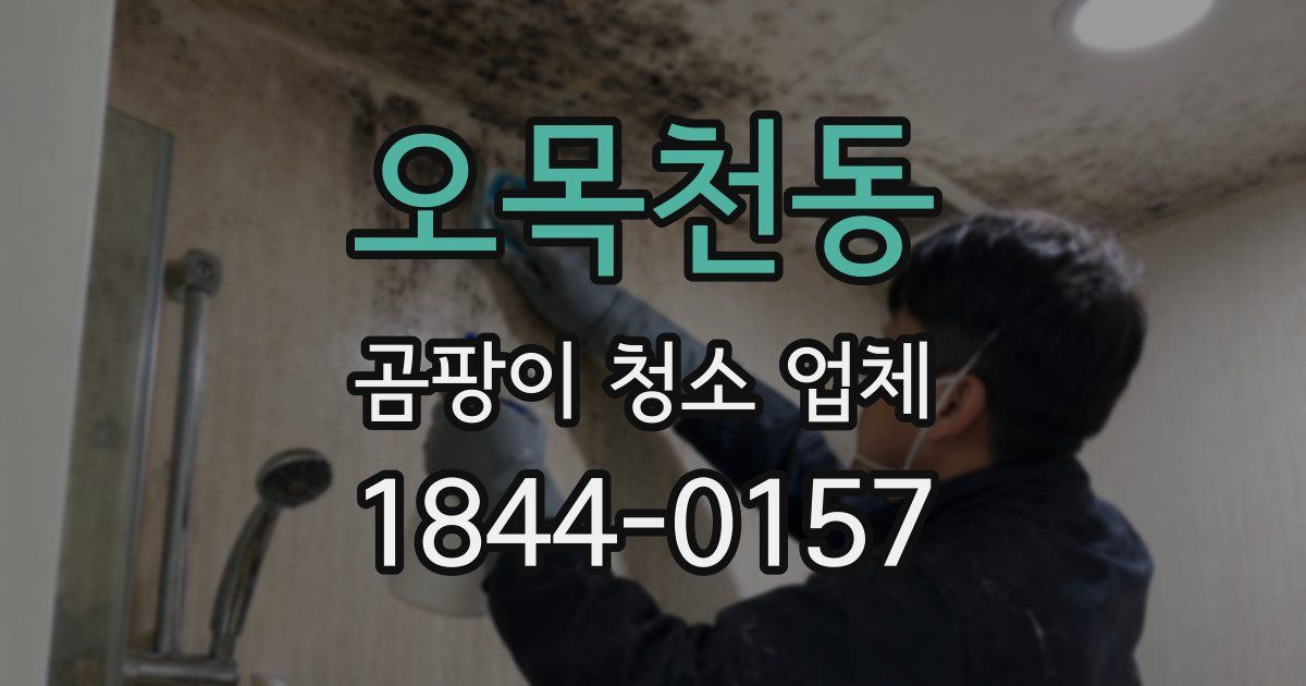 오목천동 곰팡이 청소 업체