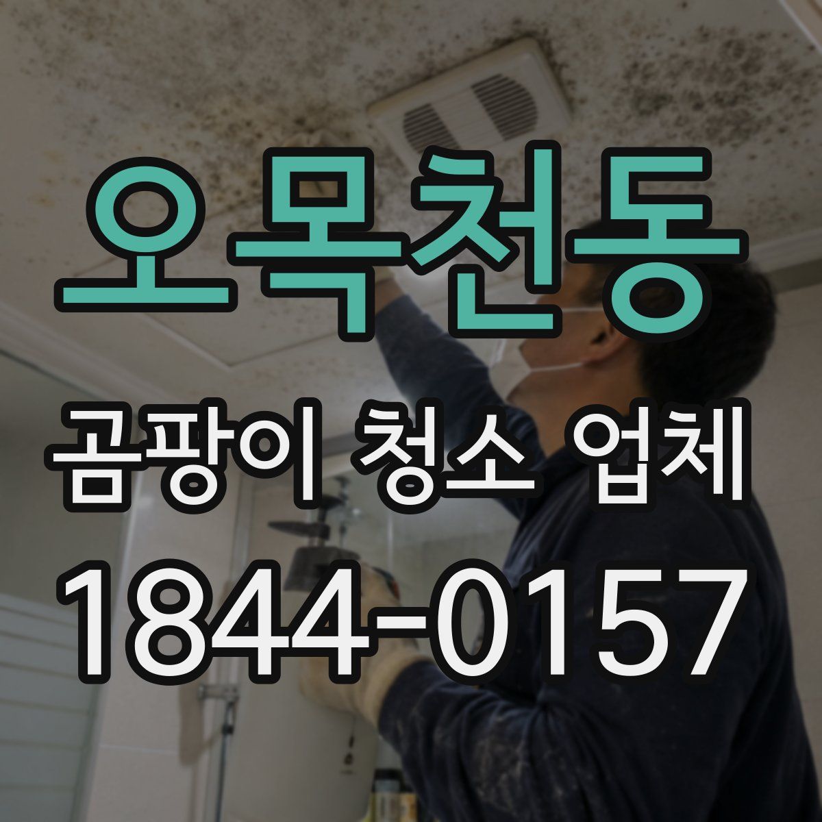 오목천동 곰팡이 청소 업체