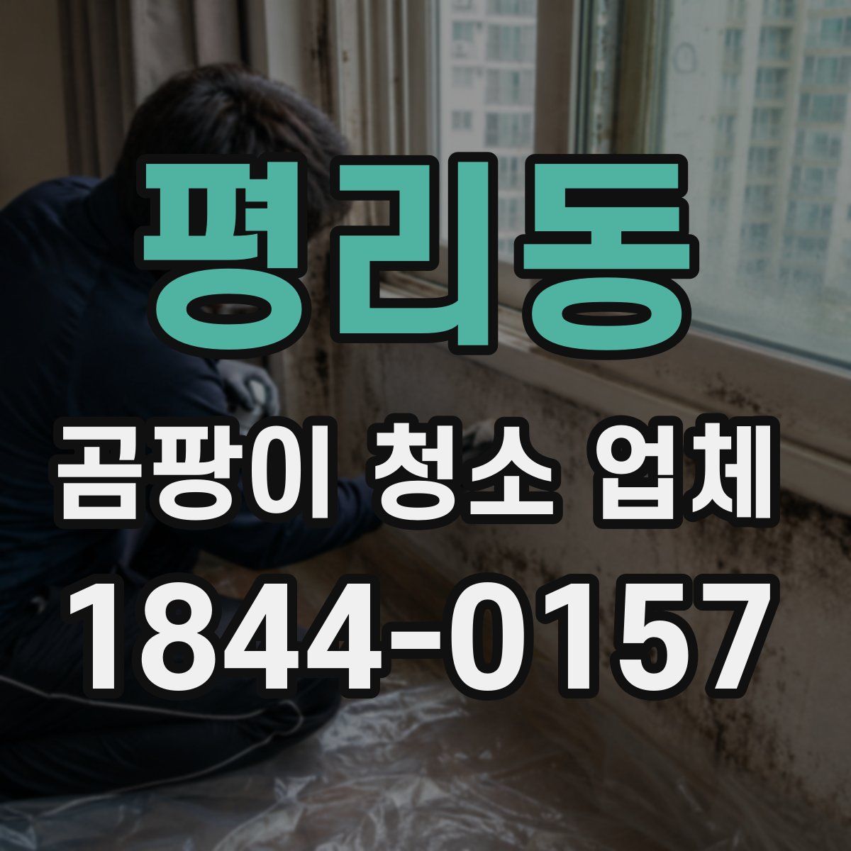평리동 곰팡이 청소 업체