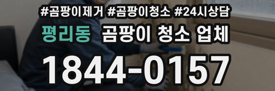 평리동 곰팡이 청소 업체