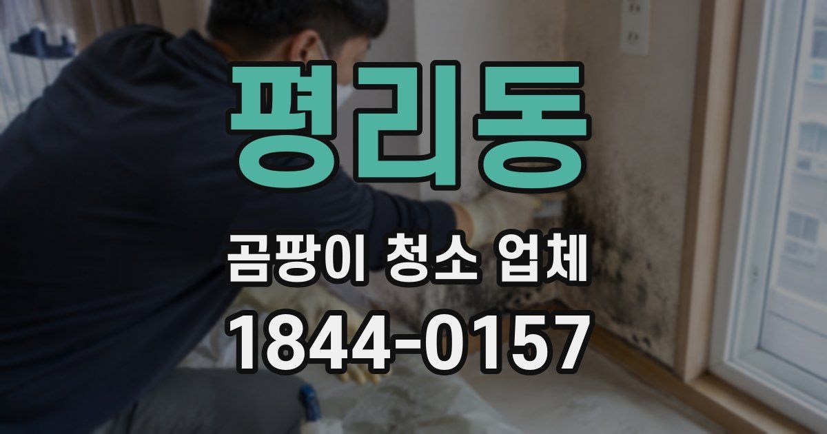 평리동 곰팡이 청소 업체