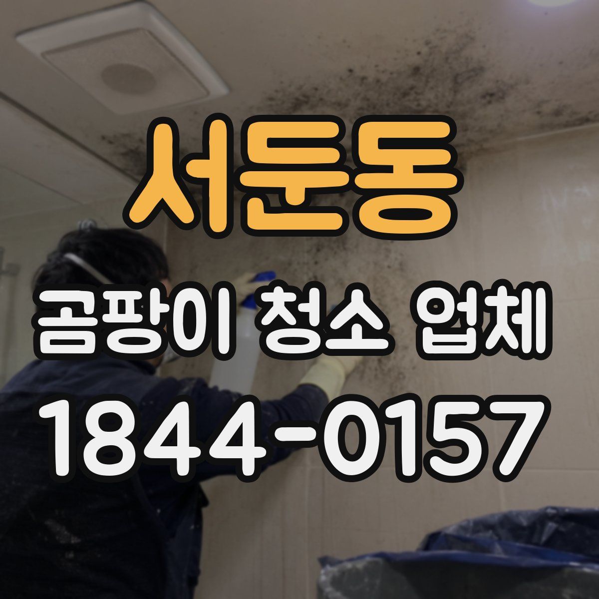 서둔동 곰팡이 청소 업체
